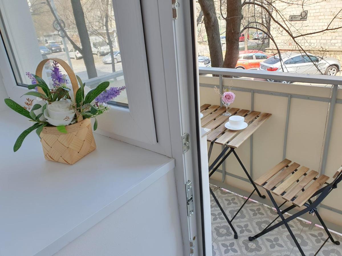 All New And Cozy Apartment In The Silence Center تشيسيناو المظهر الخارجي الصورة